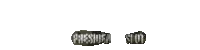 PRESIDENSLOT